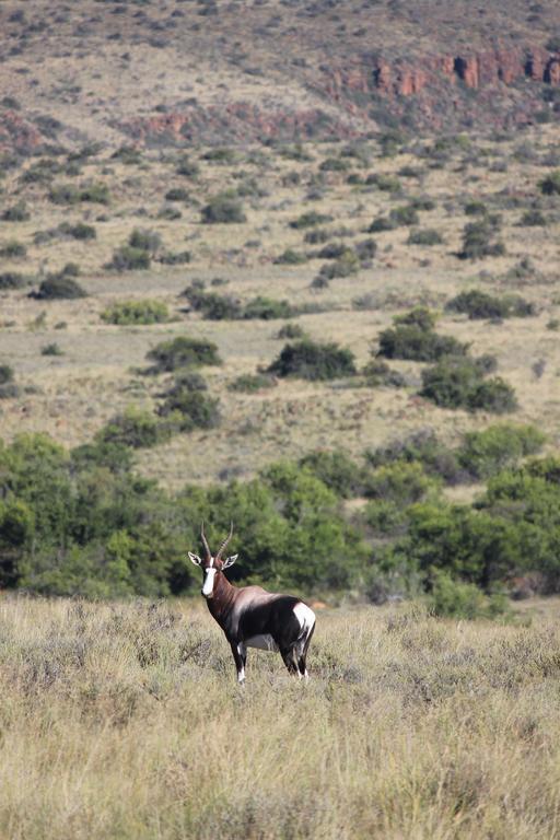 Ko Ka Tsara Bush Camp Βίλα Beaufort West Εξωτερικό φωτογραφία