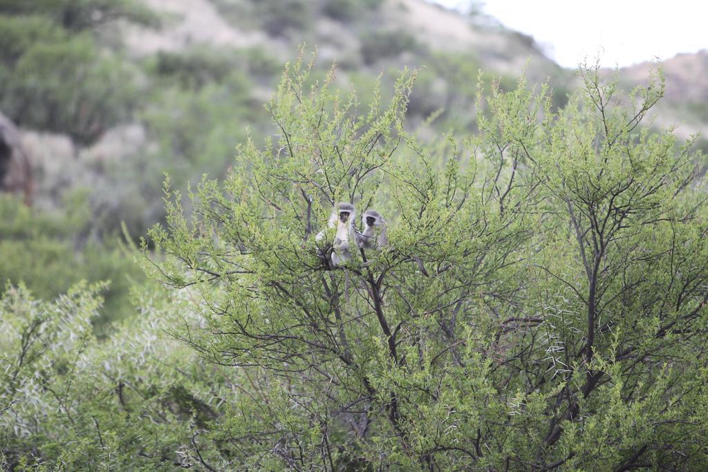 Ko Ka Tsara Bush Camp Βίλα Beaufort West Εξωτερικό φωτογραφία
