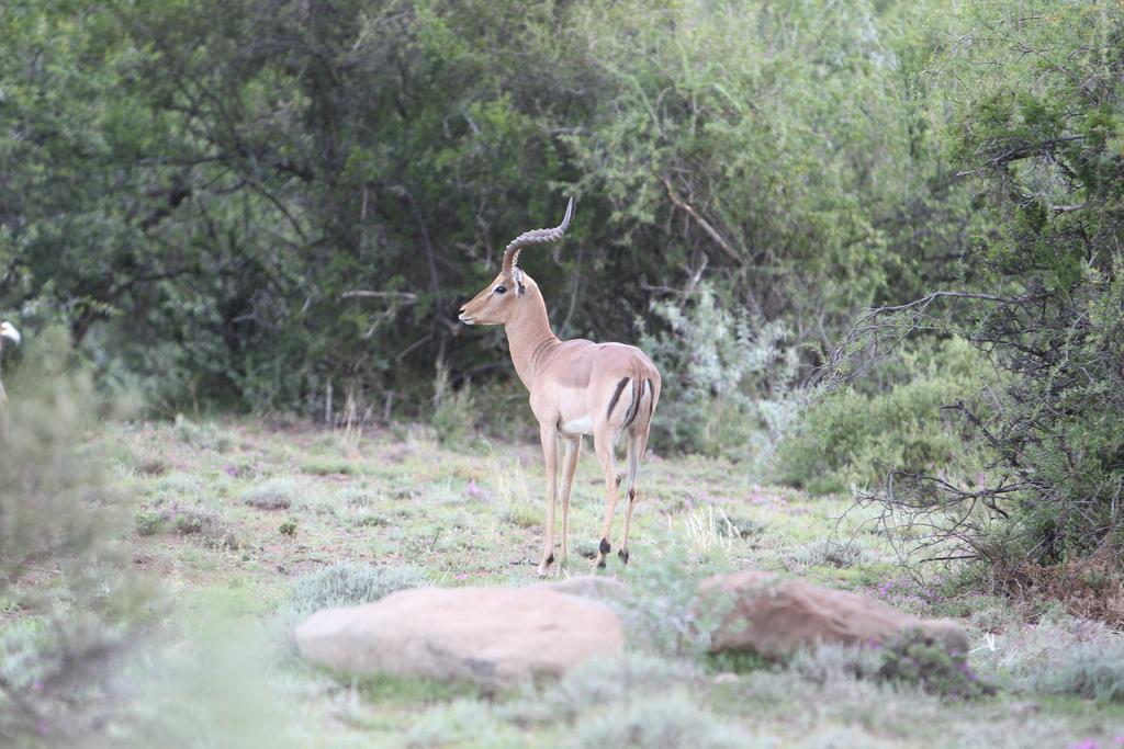 Ko Ka Tsara Bush Camp Βίλα Beaufort West Εξωτερικό φωτογραφία